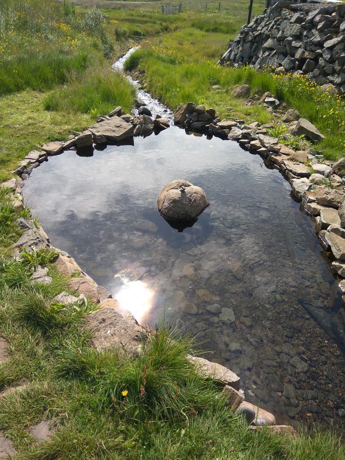 Hótel Laugarhóll with natural hot spring Holmavik Exterior foto